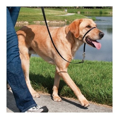 Easy walk collar de manejo para perros negro mediano Easy Walk - 1
