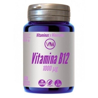 Ynsadiet vitamina b12 1000u 60 capsulas Ynsadiet - 1
