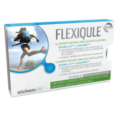 Flexiqule 30 cápsulas Flexiqule - 1