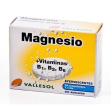 Vallesol magnesio 24 comp. efervescentes Vallesol - 1